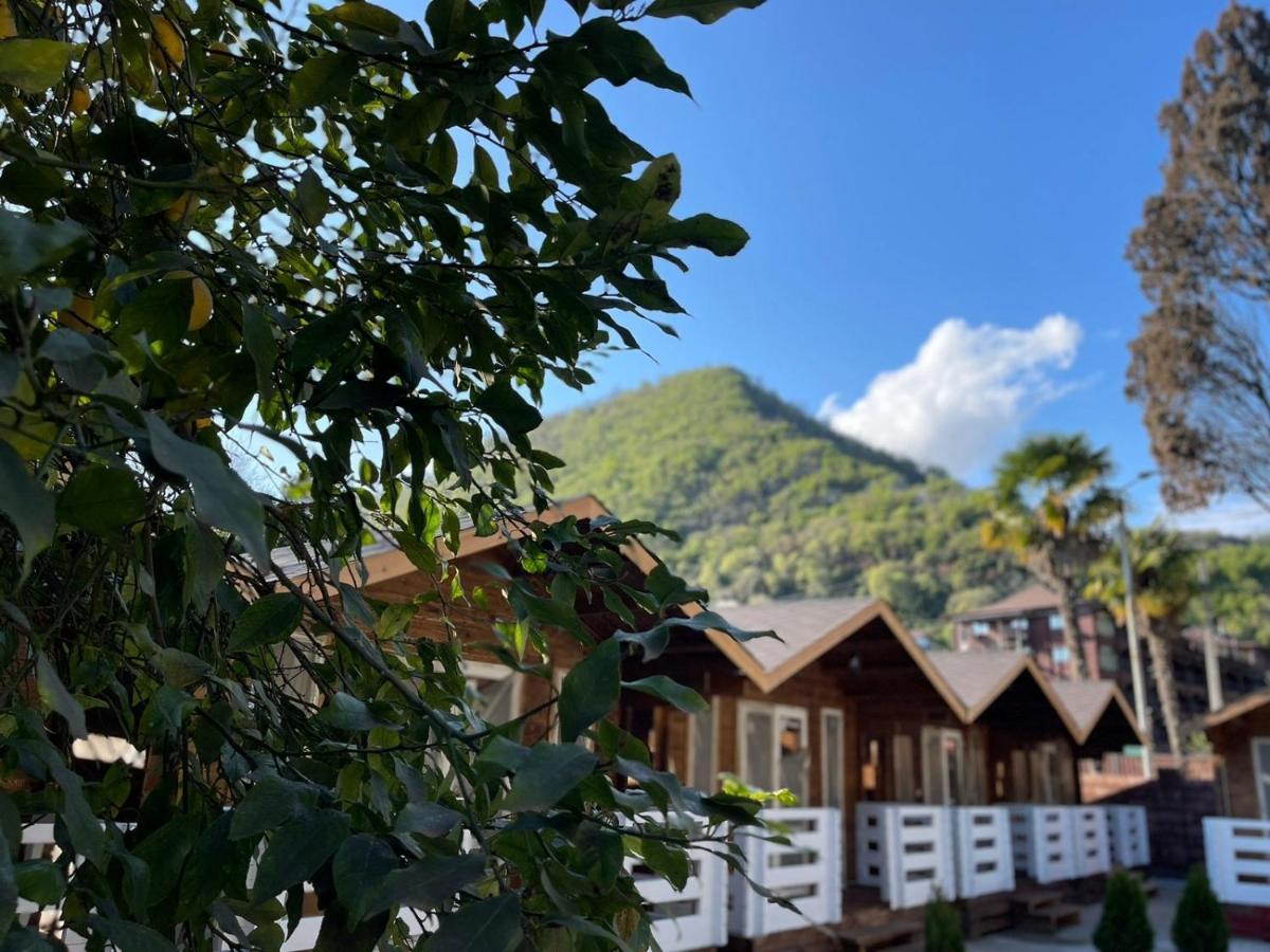 Гостевой Комплекс Парус Hotell New Athos Exteriör bild